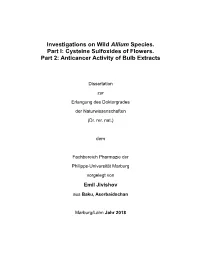 Allium Species from Asia Display Anticancer Effects and Trigger