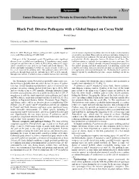 Black Pod: Diverse Pathogens with a Global Impact on Cocoa Yield