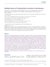 Multiple Roots of Fruiting Body Formation in Amoebozoa
