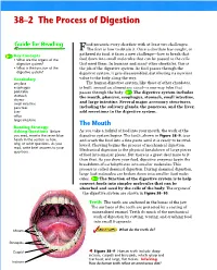 38–2 the Process of Digestion 1 FOCUS Objectives Ood Presents Every Chordate with at Least Two Challenges