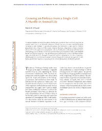 Growing an Embryo from a Single Cell: a Hurdle in Animal Life