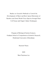 Studies on Versatile Methods to Control the Development of Shoot