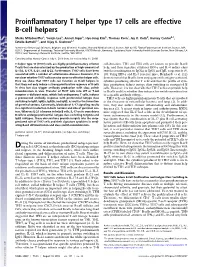 Proinflammatory T Helper Type 17 Cells Are Effective B-Cell Helpers