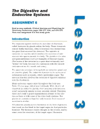 The Digestive and Endocrine Systems Examination
