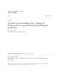 Towards an Understanding of the Evolution of Violaceae from an Anatomical and Morphological Perspective Saul Ernesto Hoyos University of Missouri-St