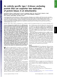 An Entirely Specific Type I A-Kinase Anchoring Protein That Can