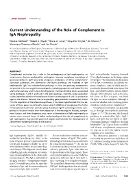 Current Understanding of the Role of Complement in Iga Nephropathy