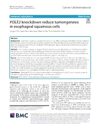 POLE2 Knockdown Reduce Tumorigenesis in Esophageal Squamous Cells Yongjun Zhu, Gang Chen, Yang Song, Zhiming Chen* and Xiaofeng Chen*