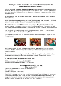 Colchester and Ipswich Museum Service Our Vision Is to Create a Museum Service That Is a Source of Pride, Inspiration and Fun