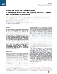 Structural Basis for the Interaction of the Golgi-Associated Retrograde Protein Complex with the T-SNARE Syntaxin 6