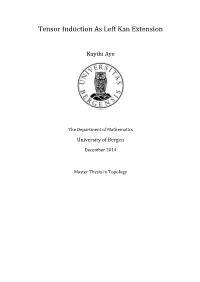 Tensor Induction As Left Kan Extension