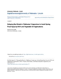 Delaying Bud Break in Â•Ÿedelweissâ•Ž Grapevines to Avoid