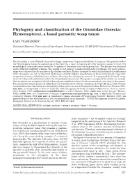 Phylogeny and Classification of the Orussidae
