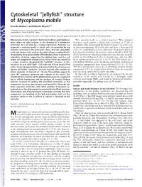 Structure of Mycoplasma Mobile