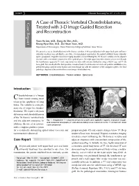 A Case of Thoracic Vertebral Chondroblastoma, Treated with 3-D Image Guided Resection and Reconstruction