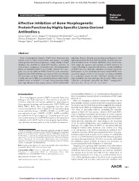 Effective Inhibition of Bone Morphogenetic Protein Function By