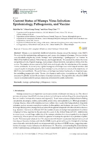 Current Status of Mumps Virus Infection: Epidemiology, Pathogenesis, and Vaccine