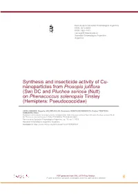 Synthesis and Insecticide Activity of Cu-Nanoparticles From