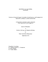 UNIVERSITY of CALIFORNIA, RIVERSIDE Predictors of Maximal