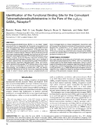 Identification of the Functional Binding Site for the Convulsant Tetramethylenedisulfotetramine in the Pore of the A2b3g2 GABAA