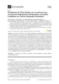 Preliminary in Vitro Studies on Corynebacterium Urealyticum Pathogenetic Mechanisms, a Possible Candidate for Chronic Idiopathic Prostatitis?