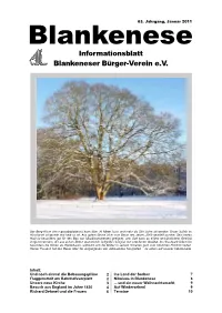 Bbv-2011-01.Pdf