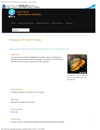 Glossary of Terminology