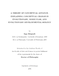 A Theory of Conceptual Advance