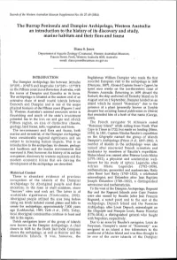 Adec Preview Generated PDF File