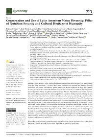 Conservation and Use of Latin American Maize Diversity: Pillar of Nutrition Security and Cultural Heritage of Humanity