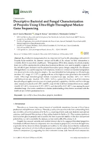 Descriptive Bacterial and Fungal Characterization of Propolis Using Ultra-High-Throughput Marker Gene Sequencing