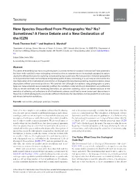 New Species Described from Photographs: Yes? No? Sometimes? a Fierce Debate and a New Declaration of the ICZN