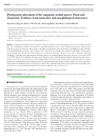 Phylogenetic Placement of the Enigmatic Orchid Genera Thaia and Tangtsinia: Evidence from Molecular and Morphological Characters