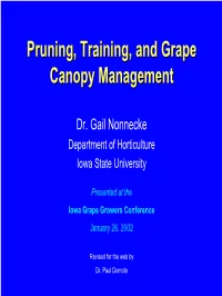 Pruning, Training, and Grape Canopy Management