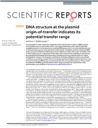 DNA Structure at the Plasmid Origin-Of-Transfer Indicates Its