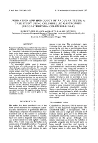 Formation and Homology of Radular Teeth; a Case Study Using Columbellid Gastropods (Neogastropoda: Columbellidae)