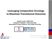 Leveraging Comparative Oncology to Maximize Translational Outcomes