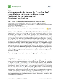Multifunctional Adhesives on the Eggs of the Leaf Insect Phyllium Philippinicum (Phasmatodea: Phylliidae): Solvent Inﬂuence and Biomimetic Implications