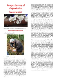 Newsletter 2017 Particularly the Case If the Fungus in Question Is Large and Conspicuous