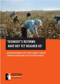 “Tashkent's Reforms Have Not