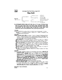 228 Consigned by Paul Sharp, Agent XX Bay Colt