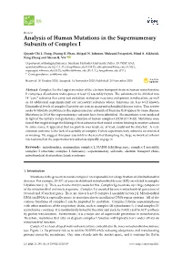 Analysis of Human Mutations in the Supernumerary Subunits of Complex I