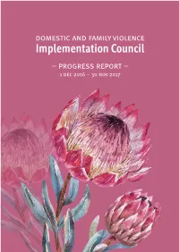 DAFV Implementation Council Progress Report 2017
