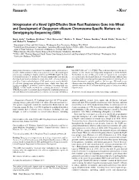 Introgression of a Novel Ug99-Effective Stem Rust