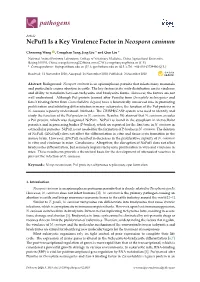 Ncpuf1 Is a Key Virulence Factor in Neospora Caninum