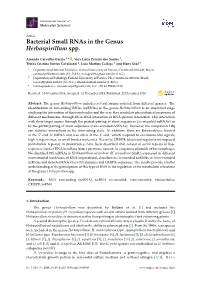 Bacterial Small Rnas in the Genus Herbaspirillum Spp