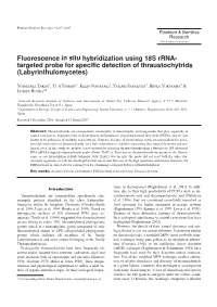 Fluorescence in Situ Hybridization Using 18S Rrna- Targeted Probe for Speciﬁc Detection of Thraustochytrids (Labyrinthulomycetes)