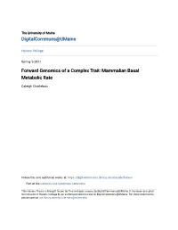 Forward Genomics of a Complex Trait: Mammalian Basal Metabolic Rate