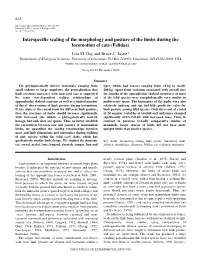 Interspecific Scaling of the Morphology and Posture of the Limbs During the Locomotion of Cats (Felidae) Lisa M