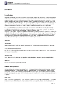 Reedbeds Published on Buglife (